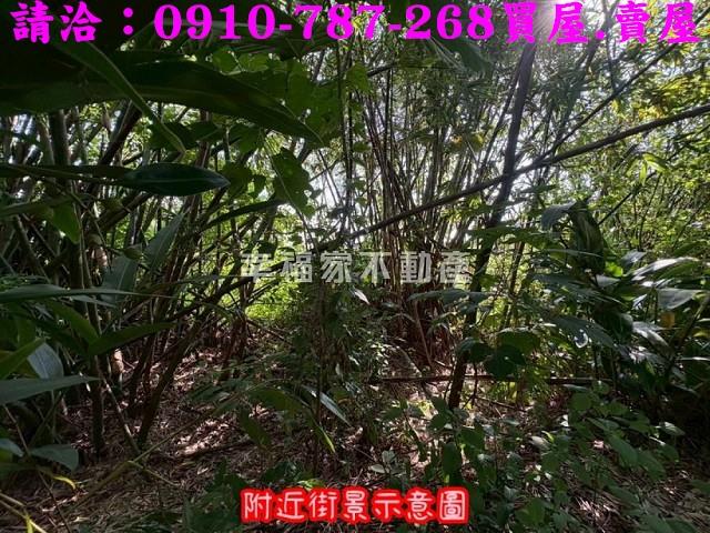 台南農地-13
