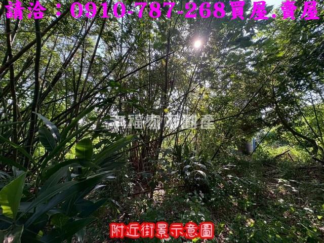 台南農地-14