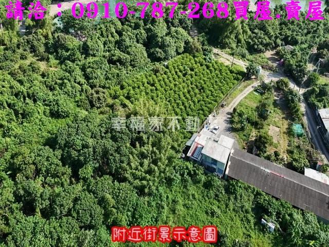 台南農地-3