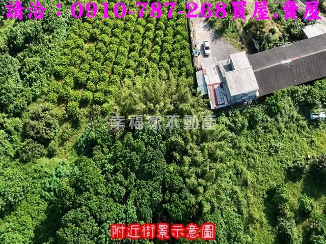 台南農地-4