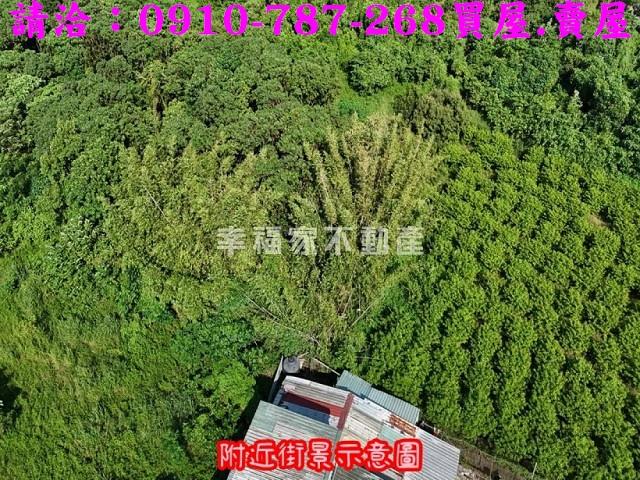 台南農地-5