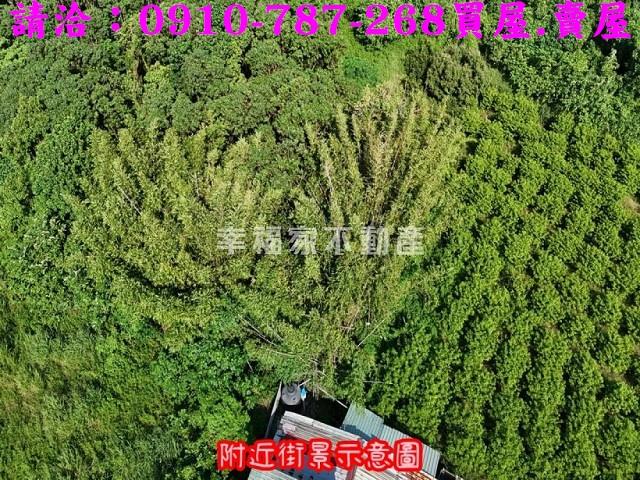 台南農地-6