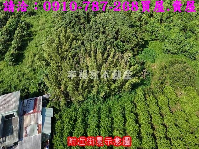 台南農地-7
