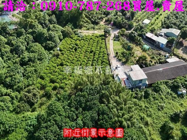 台南農地-8