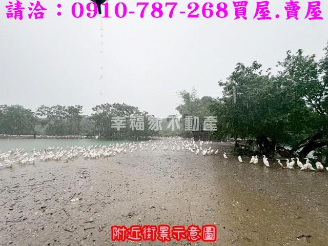 台南農地-13