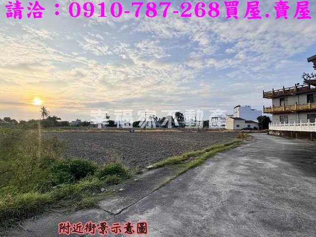 台南仁德農地-1