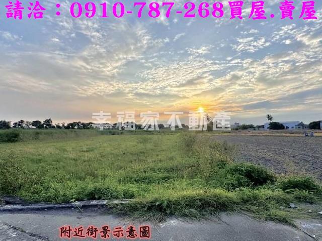 台南仁德農地-5