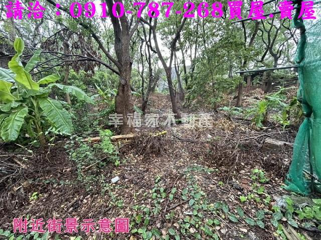 六腳建地-10
