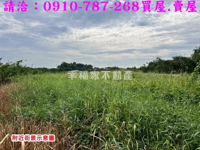關廟農地-2