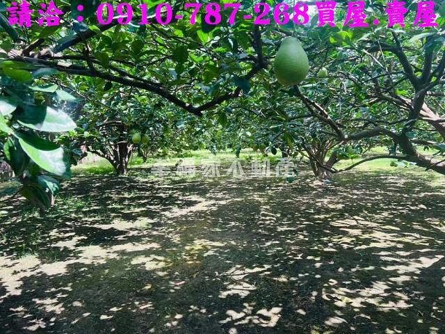 台南農地-12