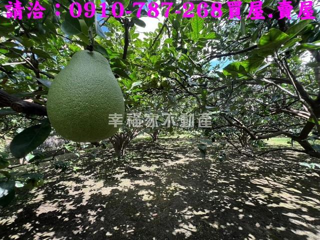台南農地-13