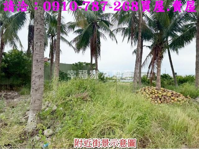 安南農地-10