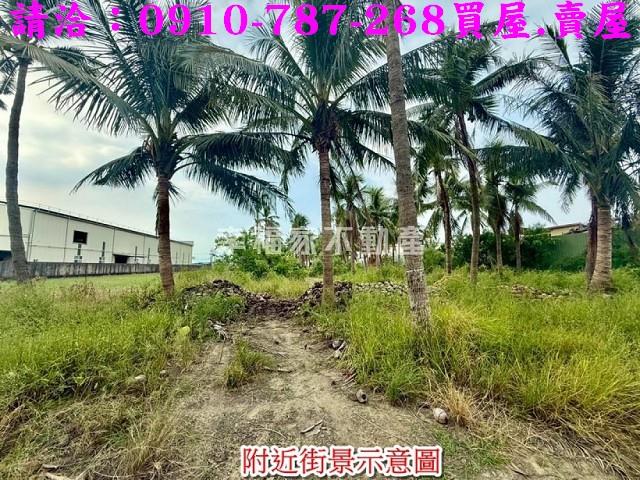 安南農地-12