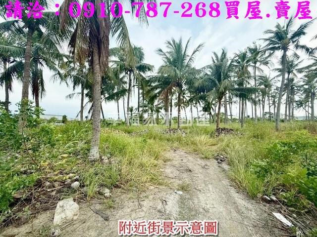 安南農地-13