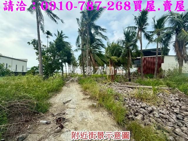 安南農地-14