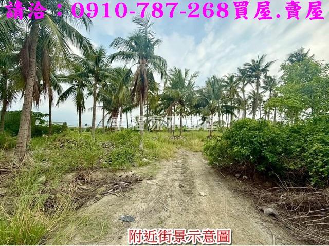安南農地-7