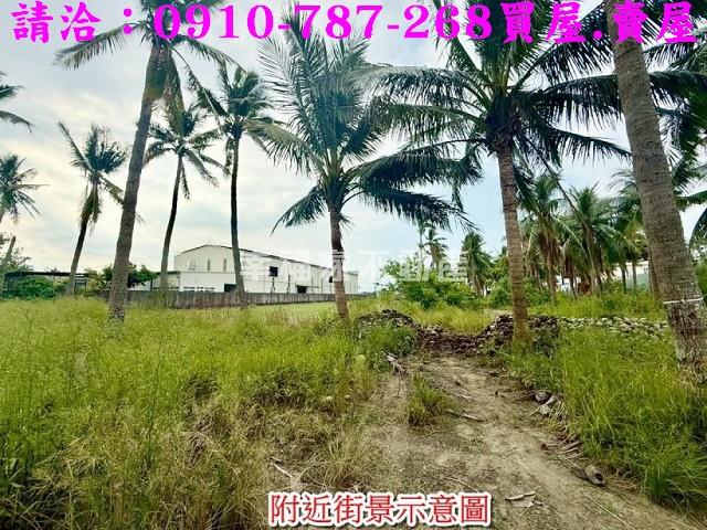 安南農地-8