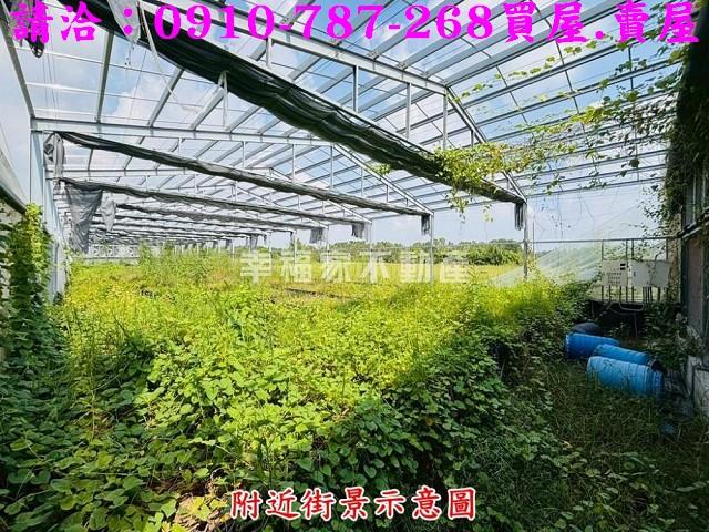 六甲農地-13