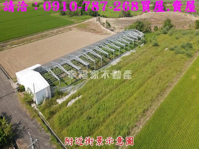六甲農地-0
