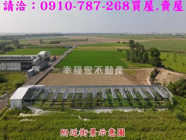 六甲農地-2