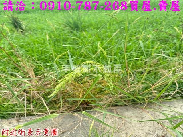 台南農地-12