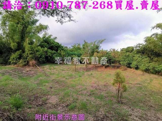 大內農地-13