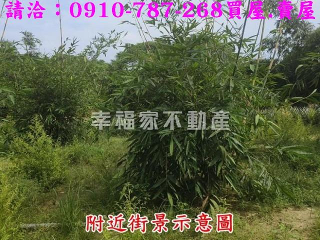 台南農地-5