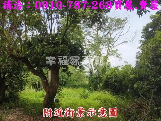 台南農地-6