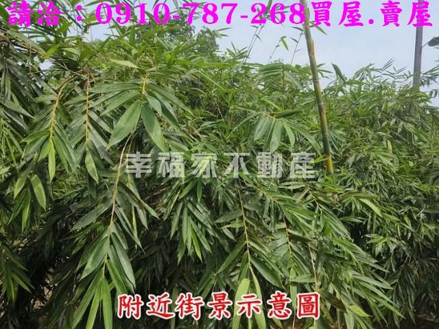 台南農地-7