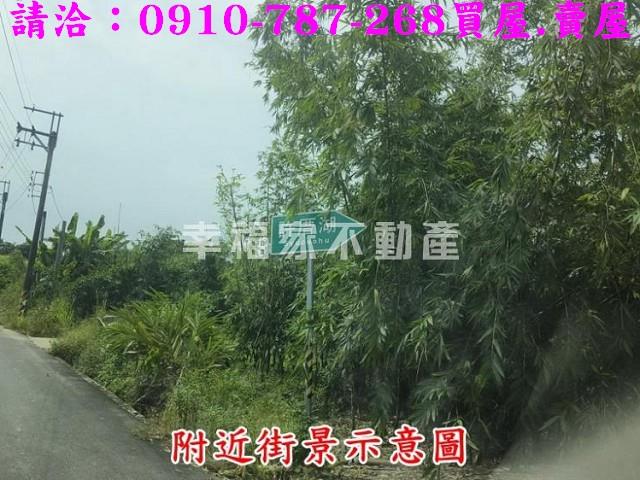 台南農地-8