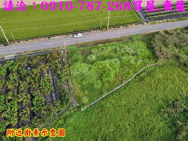 東山農地-3