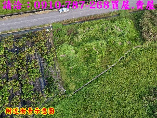 東山農地-4