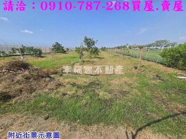 台南農地-5