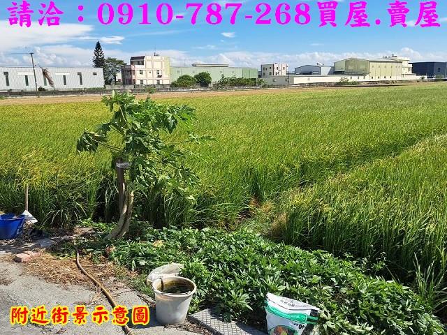 彰化秀水農地-12