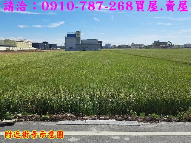 彰化秀水農地-8