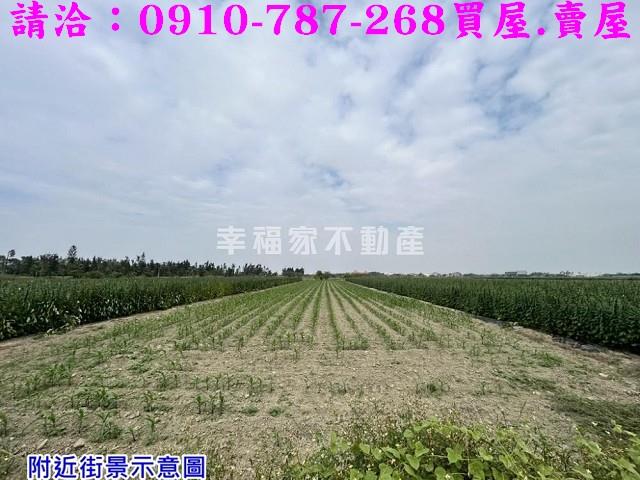 台南農地-6