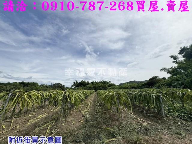 台南農地-10