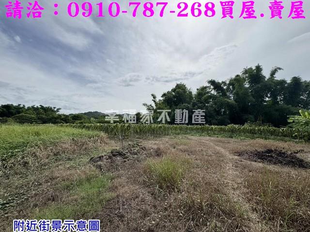 台南農地-7