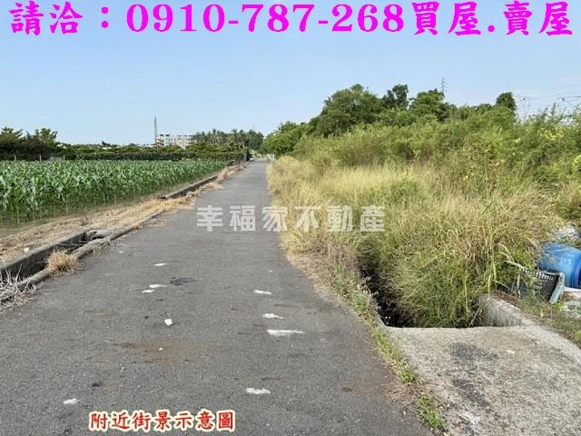 台南新市農地-5