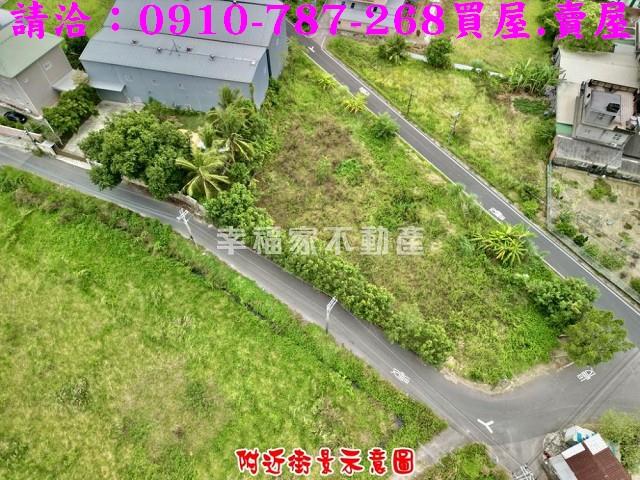 台南仁德農地-5