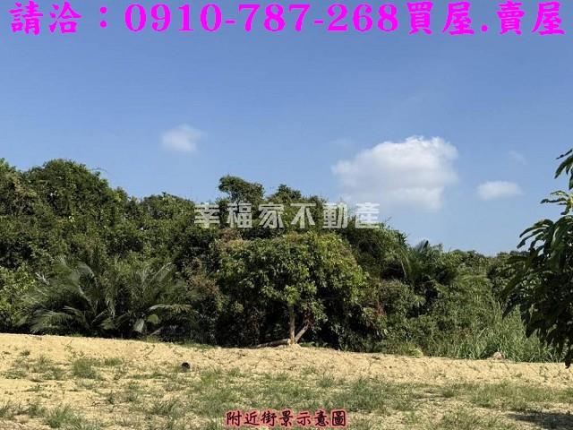 台南楠西農地-9