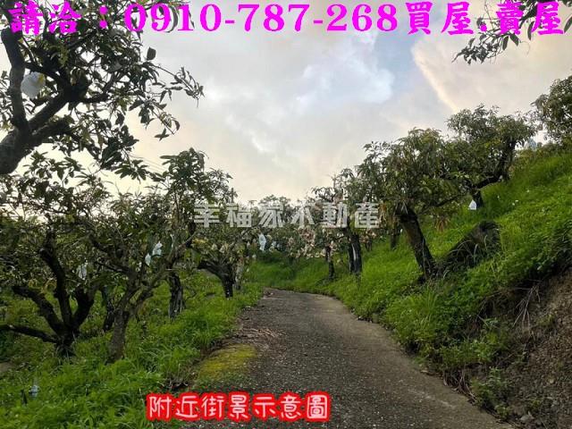 台南玉井農地-13