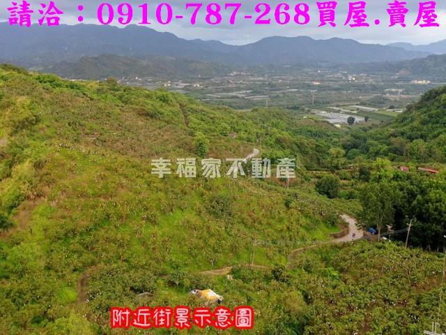 台南玉井農地-1