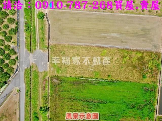 台南麻豆農地-4