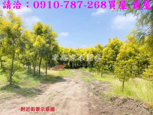 台南六甲農地-10