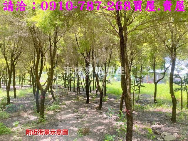 台南六甲農地-12