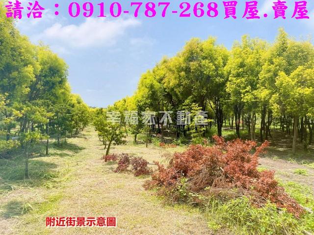 台南六甲農地-4