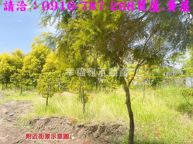 台南六甲農地-7