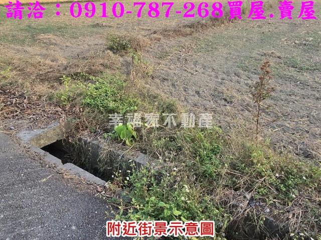 台南官田農地-5