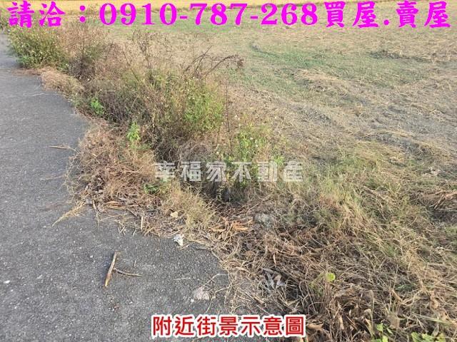 台南官田農地-7